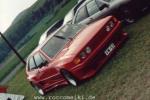 Bild-Thumbnail