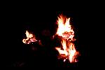 Bild-Thumbnail