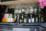 Bild-Thumbnail