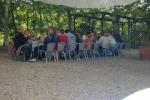 Bild-Thumbnail