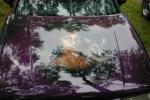 Bild-Thumbnail