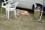 Bild-Thumbnail