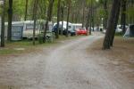 Bild-Thumbnail