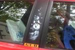Bild-Thumbnail