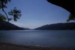 Bild-Thumbnail