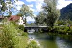 Bild-Thumbnail
