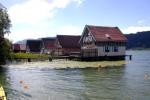 Bild-Thumbnail