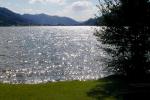 Bild-Thumbnail