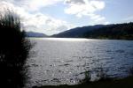 Bild-Thumbnail