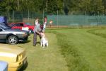 Bild-Thumbnail
