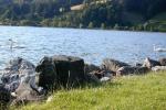 Bild-Thumbnail