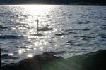 Bild-Thumbnail