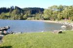 Bild-Thumbnail
