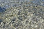 Bild-Thumbnail