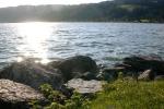 Bild-Thumbnail