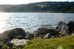 Bild-Thumbnail