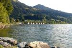 Bild-Thumbnail