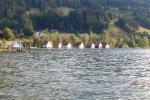 Bild-Thumbnail