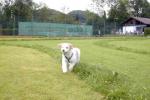 Bild-Thumbnail