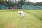 Bild-Thumbnail
