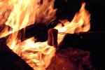Bild-Thumbnail