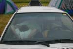Bild-Thumbnail
