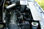 Bild-Thumbnail
